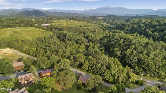 1515 Rainbow Ridge Dr, Sevierville, TN 37862 - photo 29