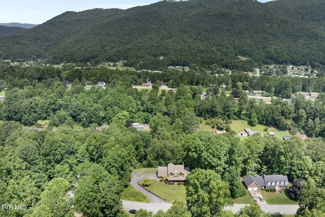 2019 Ridgeview Dr, Big Stone Gap, VA 24219 - aerial view of property's location with a mountain backdrop