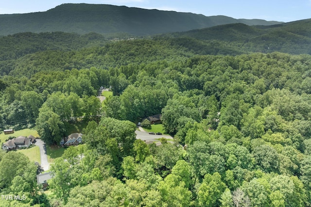 2019 Ridgeview Dr, Big Stone Gap, VA 24219 - aerial view of property's location featuring a forest and a mountain backdrop