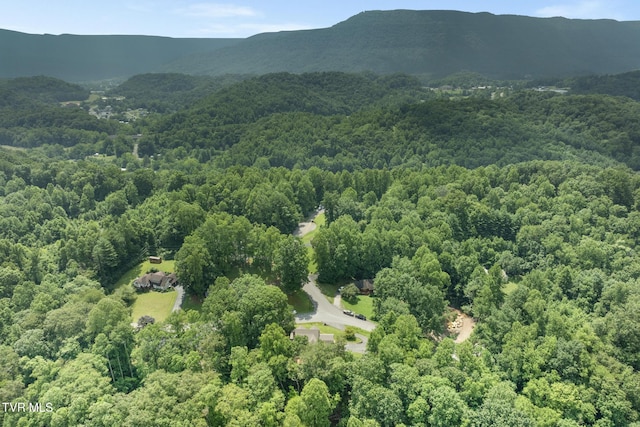 2019 Ridgeview Dr, Big Stone Gap, VA 24219 - aerial view of a forest and a mountainous background