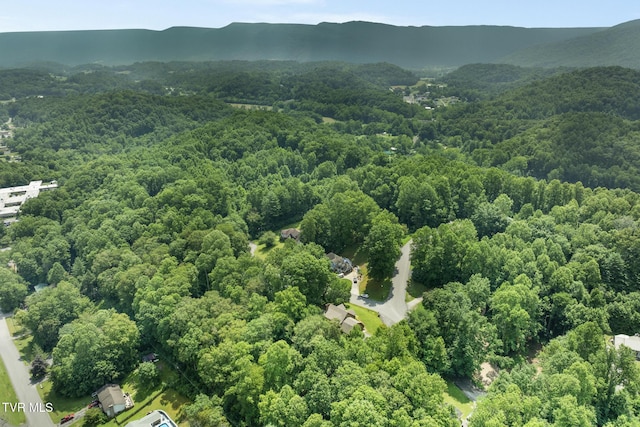 2019 Ridgeview Dr, Big Stone Gap, VA 24219 - aerial view of a heavily wooded area