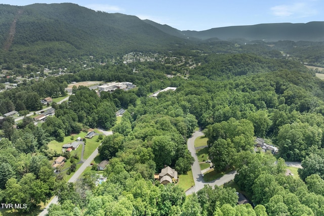 2019 Ridgeview Dr, Big Stone Gap, VA 24219 - drone / aerial view of a forest and a mountainous background