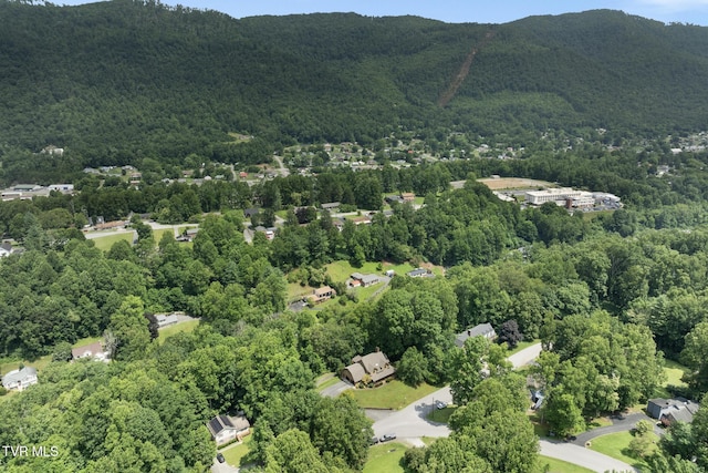 2019 Ridgeview Dr, Big Stone Gap, VA 24219 - bird's eye view of a forest and a mountain backdrop