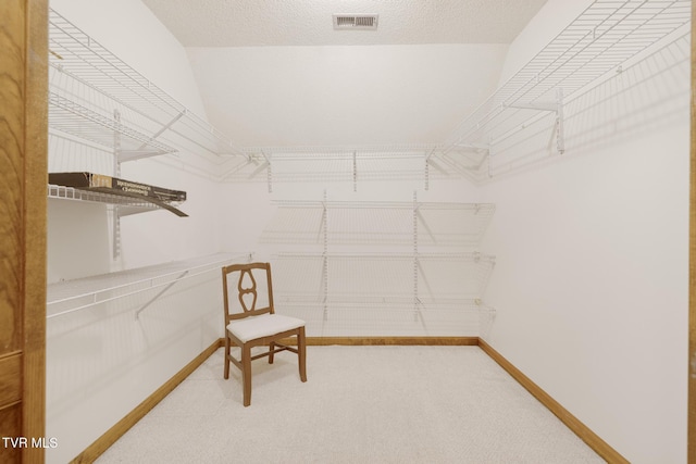2019 Ridgeview Dr, Big Stone Gap, VA 24219 - spacious closet featuring carpet flooring