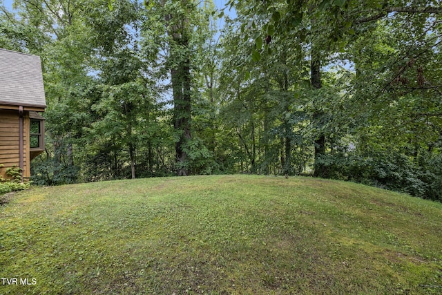 2019 Ridgeview Dr, Big Stone Gap, VA 24219 - view of green lawn