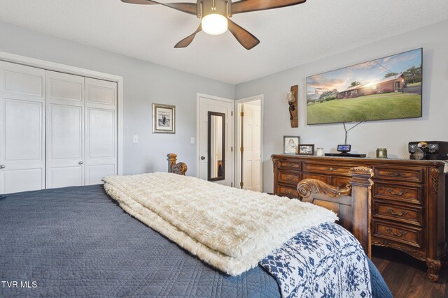 188 Mcarthur Cir, Bristol, VA 24201 - bedroom featuring a closet, wood finished floors, and ceiling fan