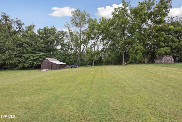 188 Mcarthur Cir, Bristol, VA 24201 - view of grassy yard with a shed