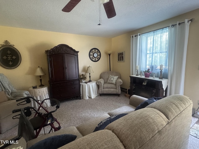 1310 Powder Branch Rd, Johnson City, TN 37601 - photo 15
