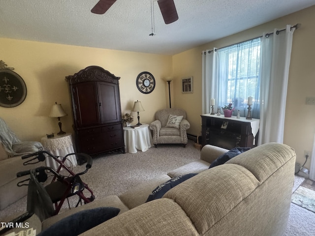 1310 Powder Branch Rd, Johnson City, TN 37601 - photo 16