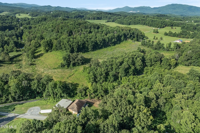 1310 Powder Branch Rd, Johnson City, TN 37601 - photo 5