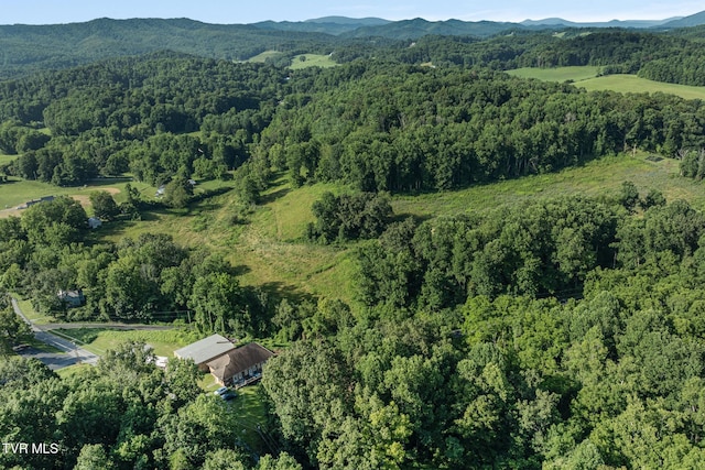 1310 Powder Branch Rd, Johnson City, TN 37601 - photo 6