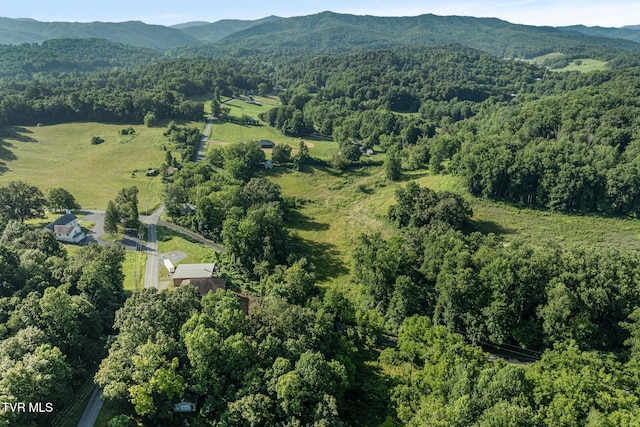 1310 Powder Branch Rd, Johnson City, TN 37601 - photo 7