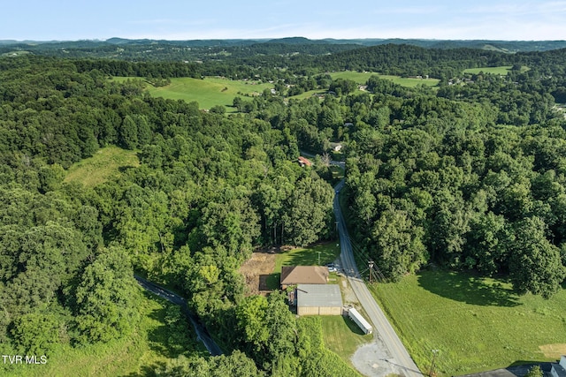 1310 Powder Branch Rd, Johnson City, TN 37601 - photo 18