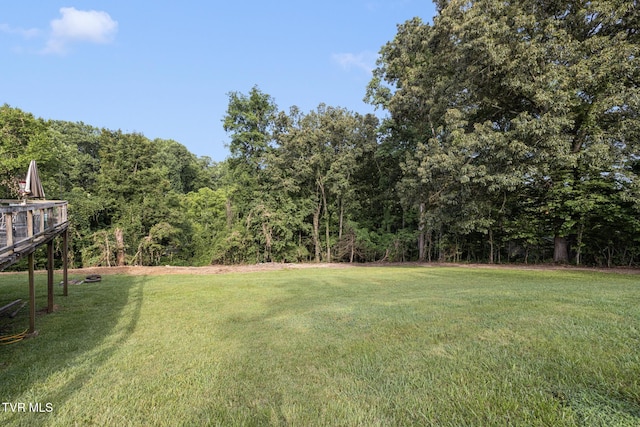 1310 Powder Branch Rd, Johnson City, TN 37601 - photo 26