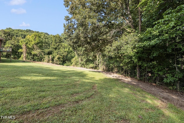 1310 Powder Branch Rd, Johnson City, TN 37601 - photo 28