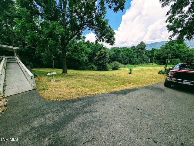 222 Warren Dr, Big Stone Gap, VA 24219 - view of grassy yard featuring a view of trees and driveway