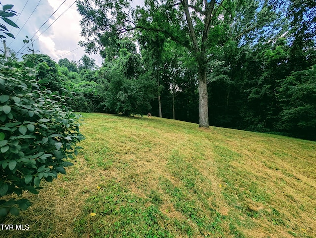 222 Warren Dr, Big Stone Gap, VA 24219 - view of green lawn