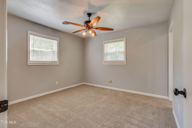 342 Sam Doak St, Greeneville, TN 37745 - photo 13