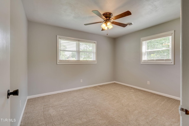 342 Sam Doak St, Greeneville, TN 37745 - photo 17
