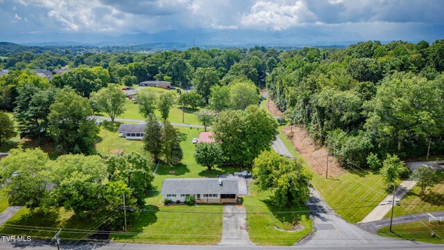 342 Sam Doak St, Greeneville, TN 37745 - photo 38
