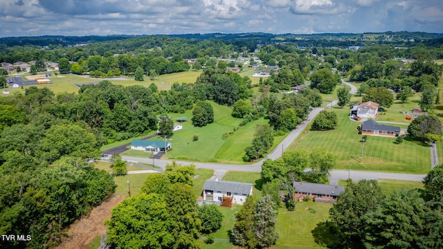 342 Sam Doak St, Greeneville, TN 37745 - photo 40