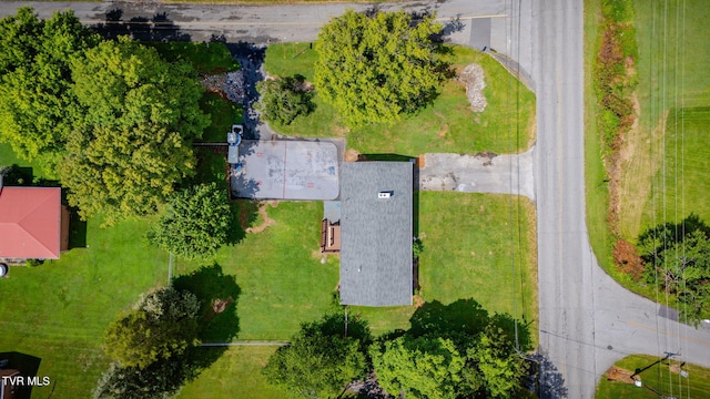 342 Sam Doak St, Greeneville, TN 37745 - photo 41