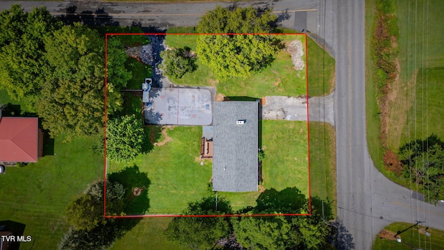 342 Sam Doak St, Greeneville, TN 37745 - photo 42