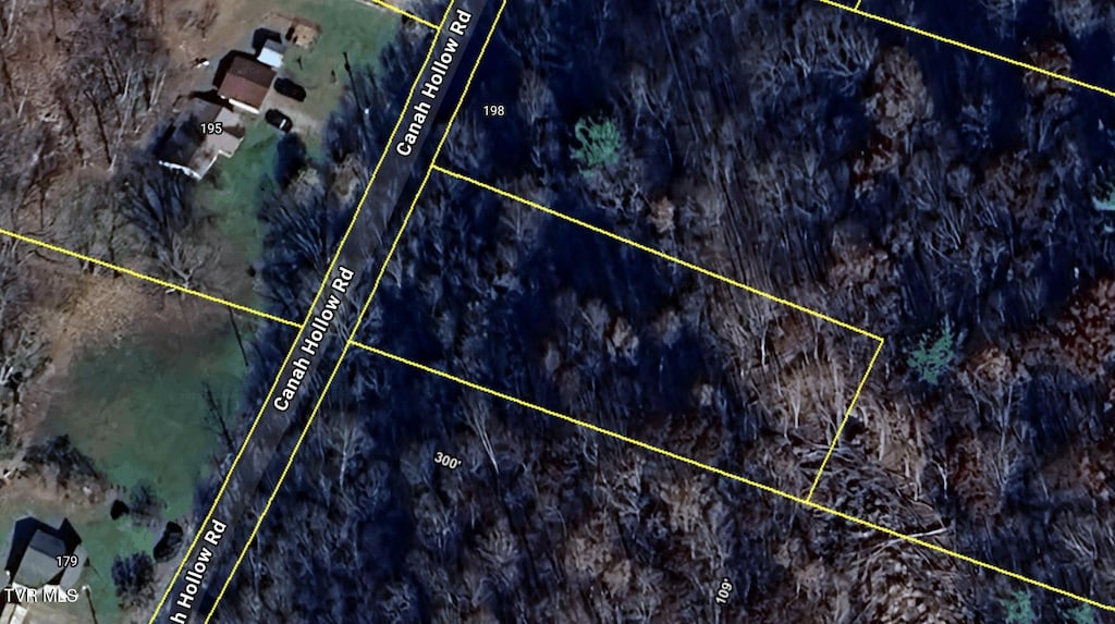 TBD Canah Hollow Rd, Erwin, TN 37650