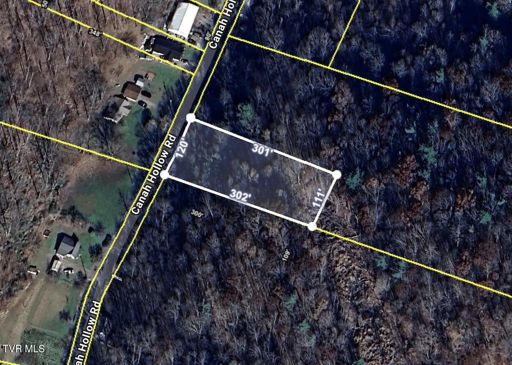 TBD Canah Hollow Rd, Erwin, TN 37650