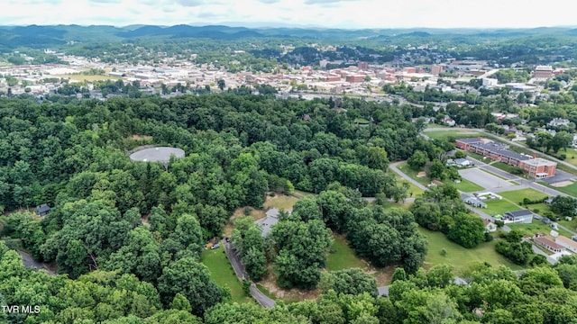 1108 Glen St, Bristol, TN 37620 - aerial view of property and surrounding area