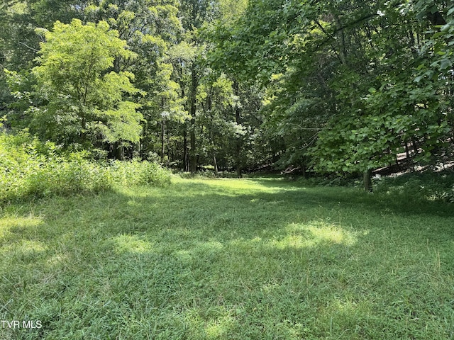 751 Tuggle Hill Rd, Rogersville, TN 37857 - photo 21