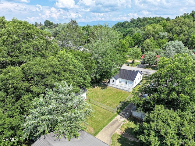816 Carson St, Greeneville, TN 37743 - photo 12