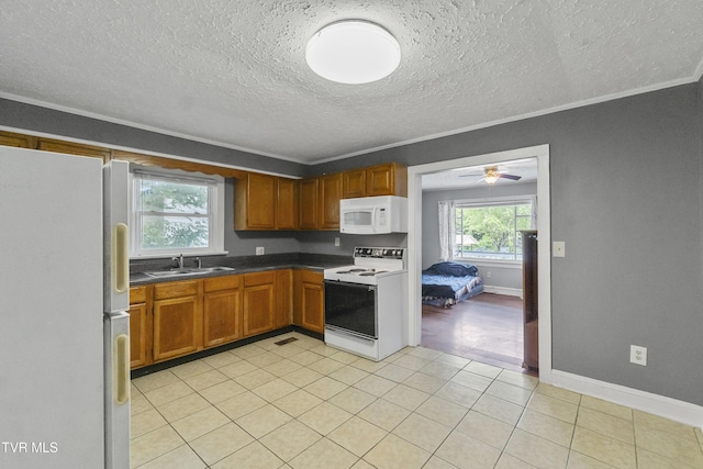 816 Carson St, Greeneville, TN 37743 - photo 15