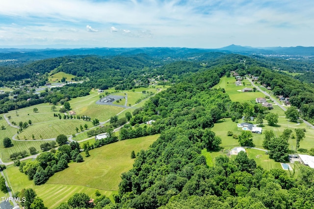 0 Eaton Station Rd, Kingsport, TN 37664 - photo 4