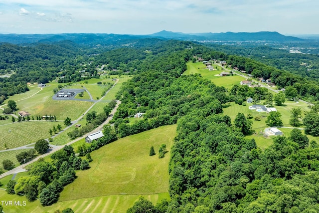 0 Eaton Station Rd, Kingsport, TN 37664 - photo 9