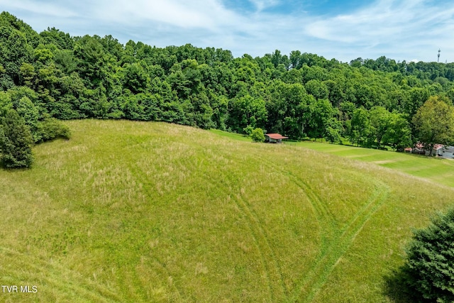 0 Eaton Station Rd, Kingsport, TN 37664 - photo 20