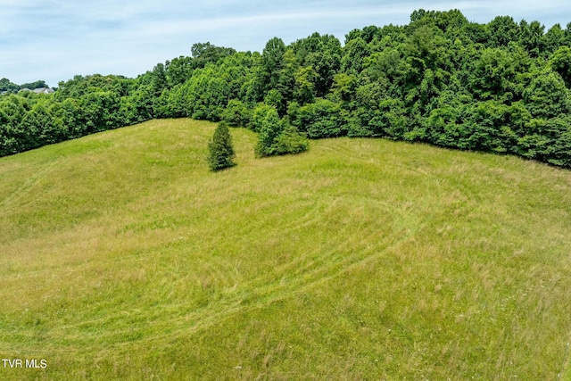 0 Eaton Station Rd, Kingsport, TN 37664 - photo 21