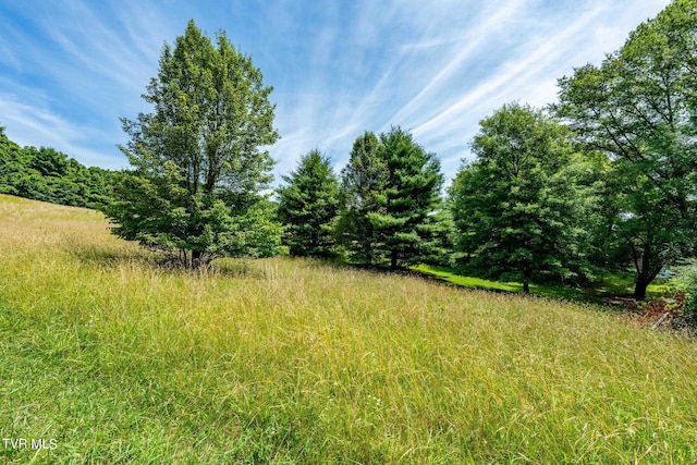 0 Eaton Station Rd, Kingsport, TN 37664 - photo 25