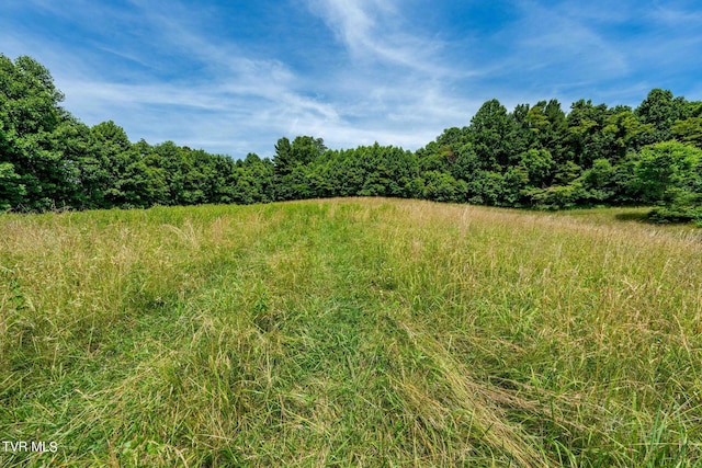 0 Eaton Station Rd, Kingsport, TN 37664 - photo 29