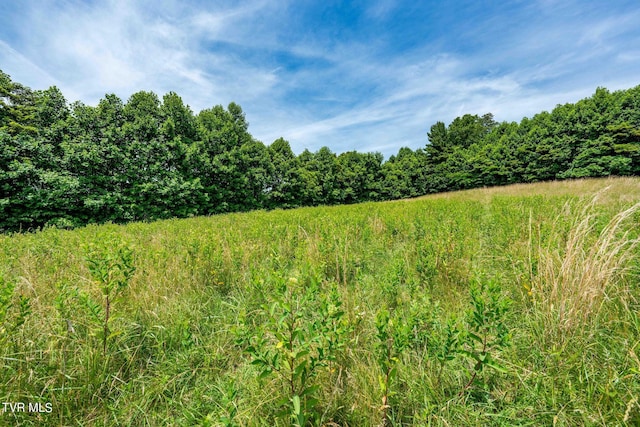0 Eaton Station Rd, Kingsport, TN 37664 - photo 30