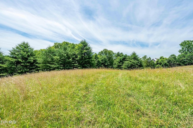 0 Eaton Station Rd, Kingsport, TN 37664 - photo 35