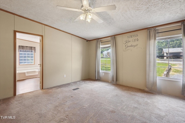 4035 Ridge Rd, Kingsport, TN 37660 - photo 6