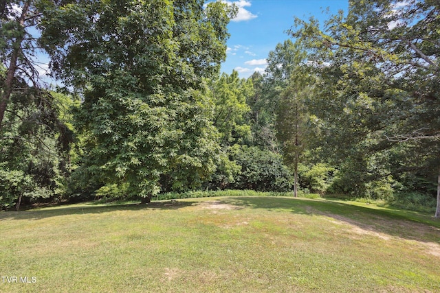 4035 Ridge Rd, Kingsport, TN 37660 - photo 34