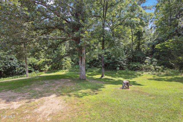 4035 Ridge Rd, Kingsport, TN 37660 - photo 35