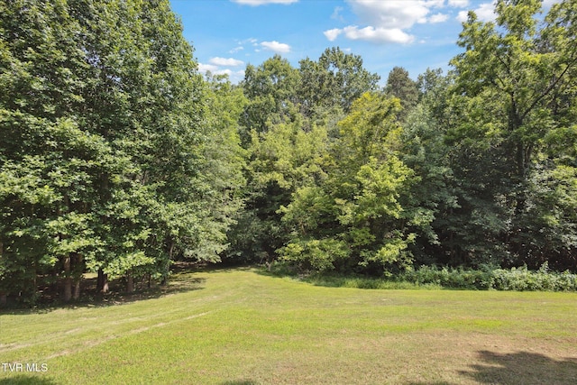 4035 Ridge Rd, Kingsport, TN 37660 - photo 36