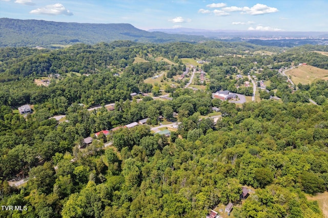 4035 Ridge Rd, Kingsport, TN 37660 - photo 49