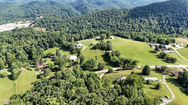 422 Droke Ln, Blountville, TN 37617 - photo 60