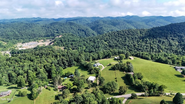 422 Droke Ln, Blountville, TN 37617 - photo 61
