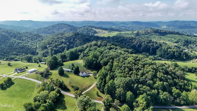 422 Droke Ln, Blountville, TN 37617 - photo 64