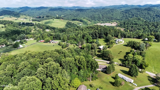422 Droke Ln, Blountville, TN 37617 - photo 70